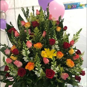 Meet your Posher, Sandra